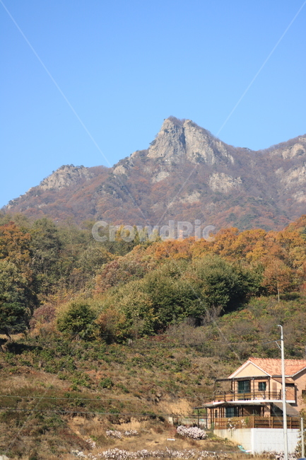 감악산,풍경,nature,자연,outdoors,옥외,식물,가을,계절,fall,autumn,season,자연,풍경,nature,landscape