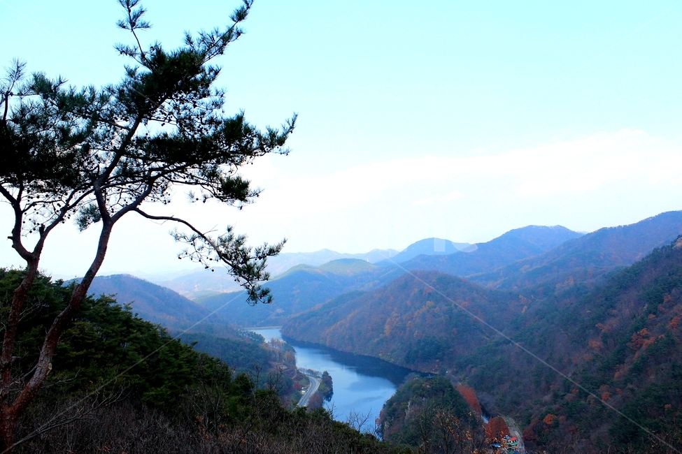 산,자연,가을,단풍,장태산자연휴양림,가을,계절,fall,autumn,season,nature,outdoors,옥외,slope,경사,mountain