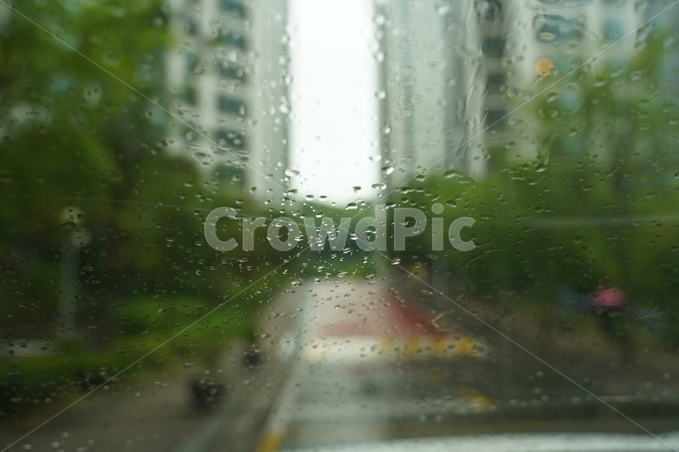 비오는날,비,장마,소나기,빗방울,창문,비,비오는날,rain,rainy