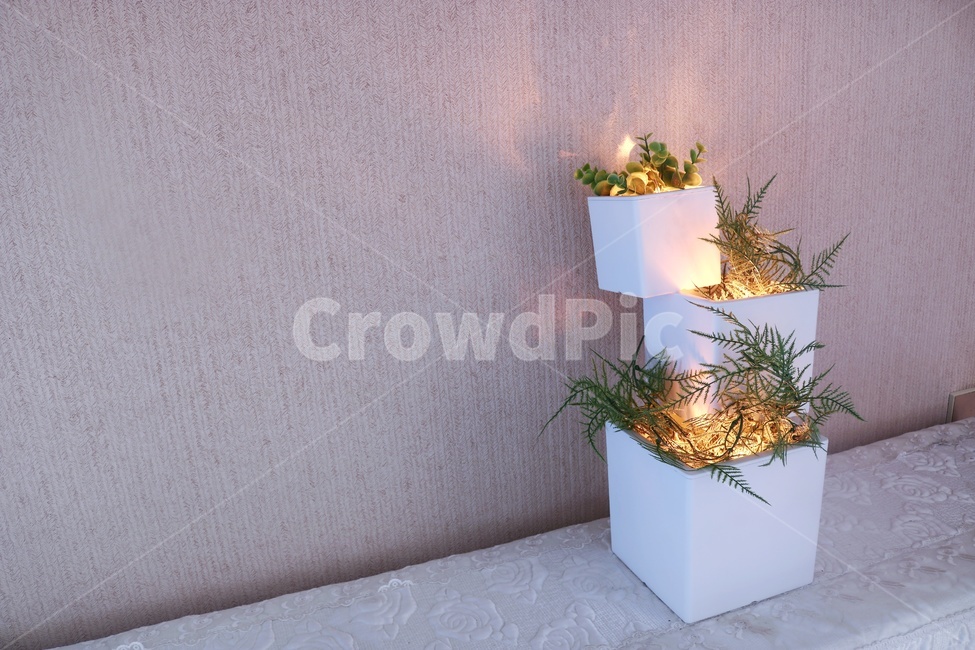 꽃,화분,꽃병,조명,자연,예쁜,flowers,꽃다발,화초,풀,인테리어,실내디자인,interior design