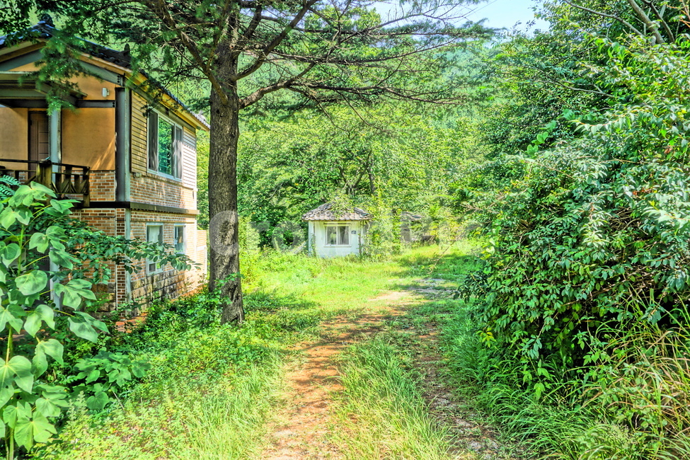 숲,등산,등산길,폐가,숲길