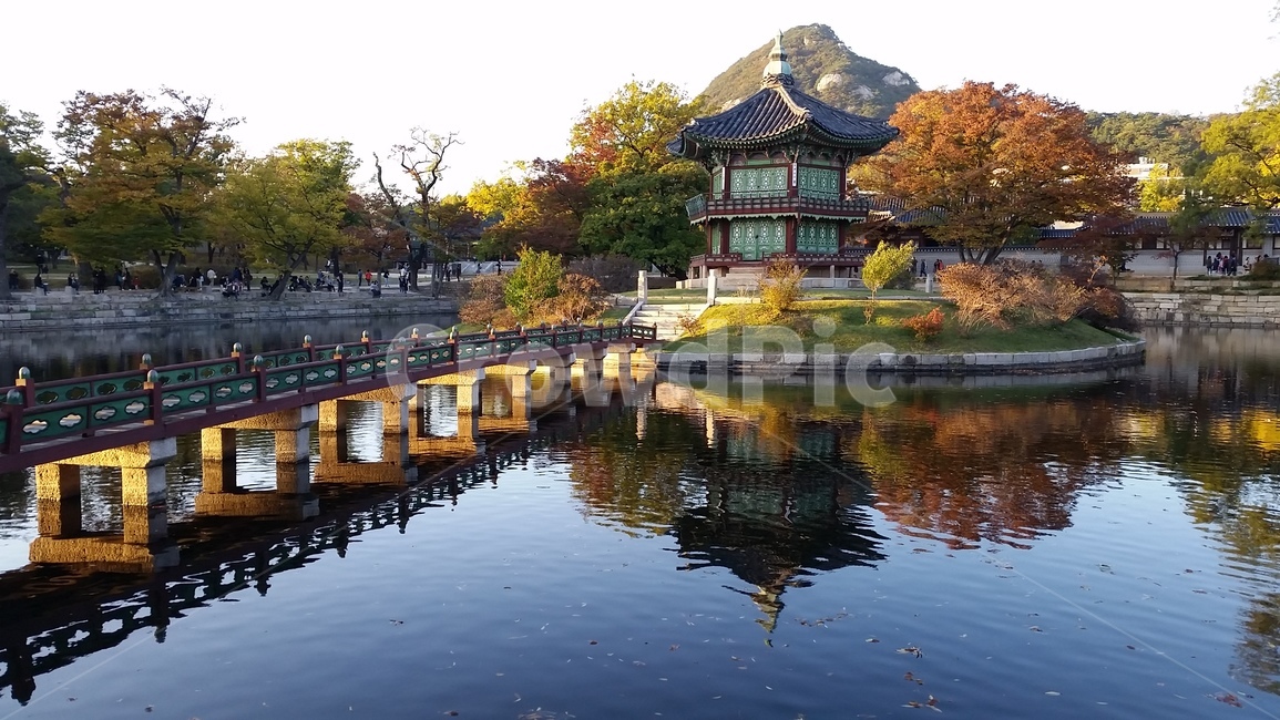 향원정,인왕산,단풍,연못,취향교,water,물,nature,자연,건물,건축물,다리,기와,나무,maple