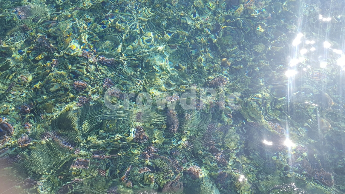 shine,물,nature,sea,바다,sealife