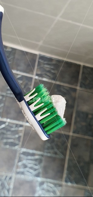 칫솔,brush,브러시,tool,수단,양치,양치질,이