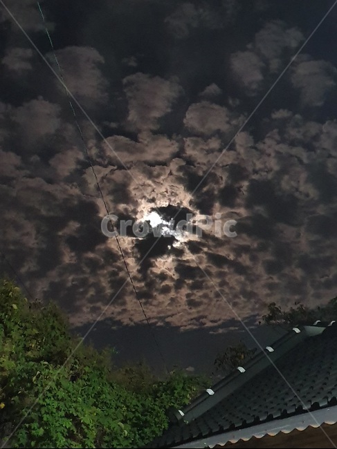 보름달,하늘,구름,밤,기와,자연