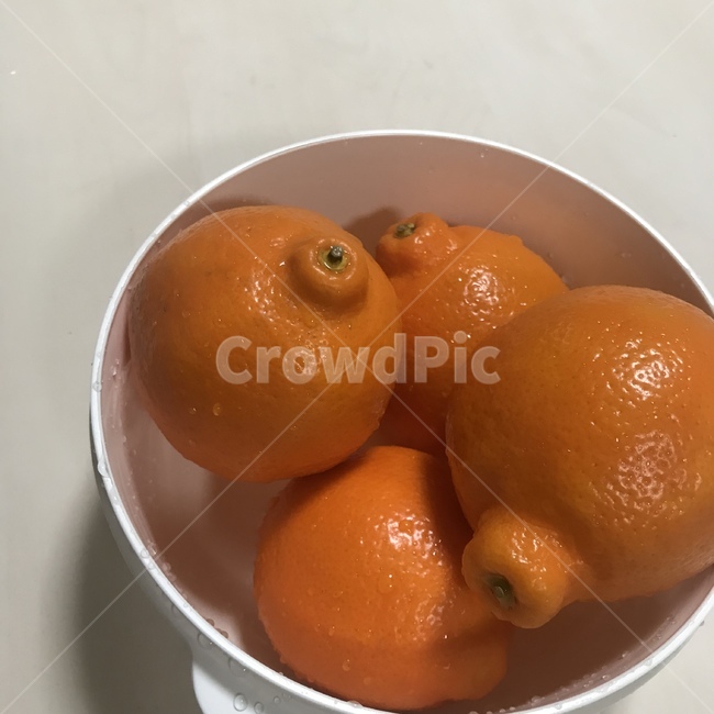 오렌지,오렌지바구니,바구니,citrusfruit,감귤류과일,fruit,과일,과일,열매,fruit