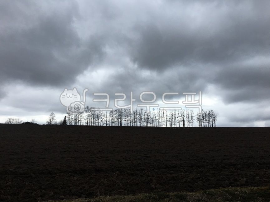 마일드세븐,일본,겨울,삿포로,훗카이도,아사히카와,자연