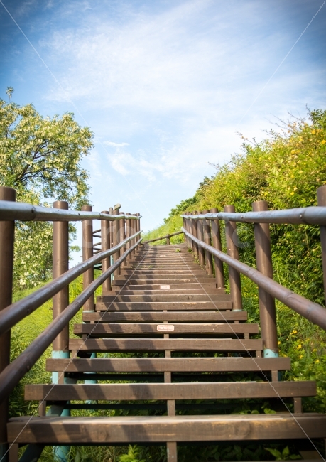 하늘,계단,stair,sky,상암,하늘공원,자연,풍경,nature,landscape,handrail,난간,banister,railing,staircase