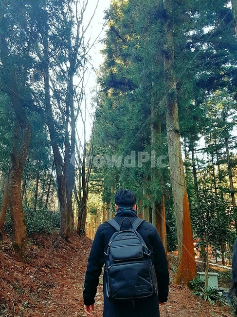 자연,남자,숲길,뒷모습,여유,여행,보성