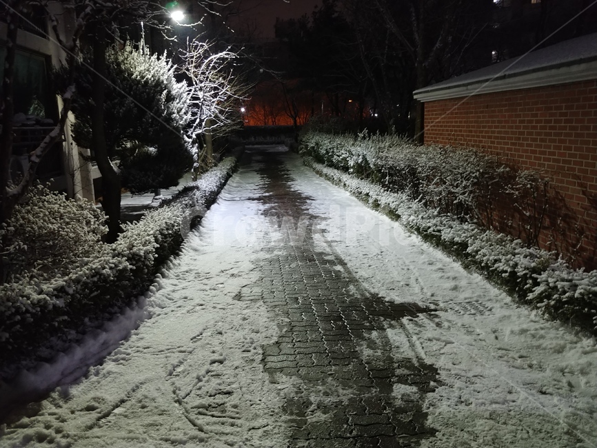 겨울,눈,밤,길,발자국