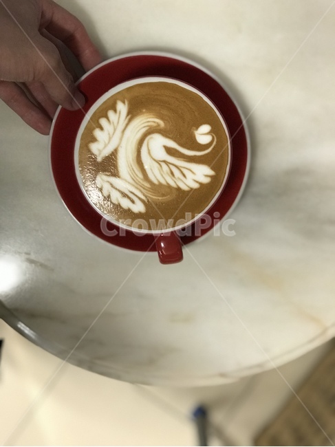 커피,카페라떼,라떼아트,coffee,cafelatte,latteart,백조,swan,음료수,drink,beverage,커피,카페,coffee,cafe