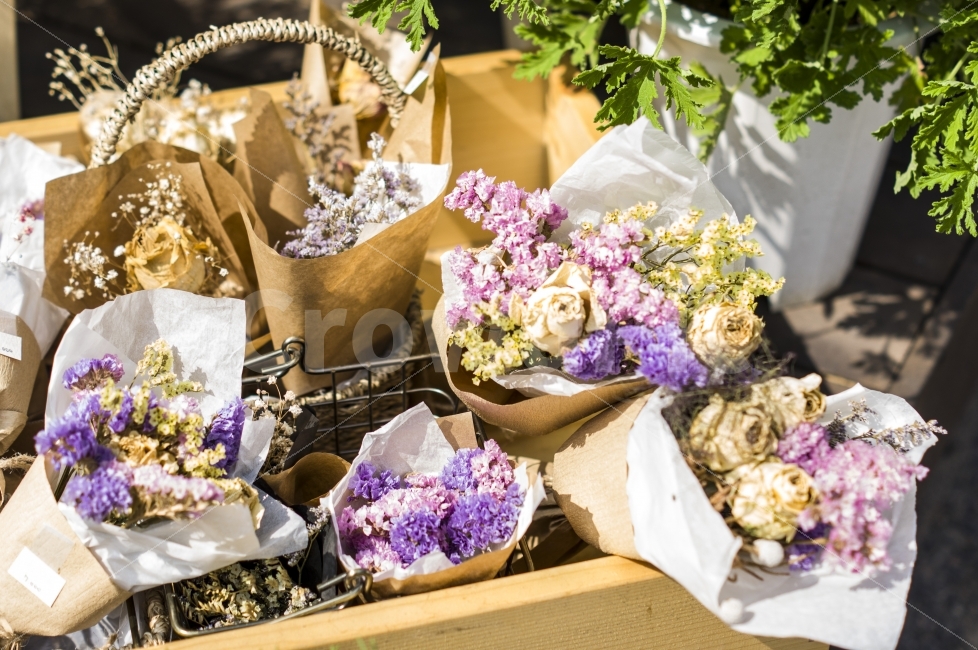 꽃,드라이플라워,플라워,꽃사진,꽃가게,식물,자연,plants,nature,꽃,flower