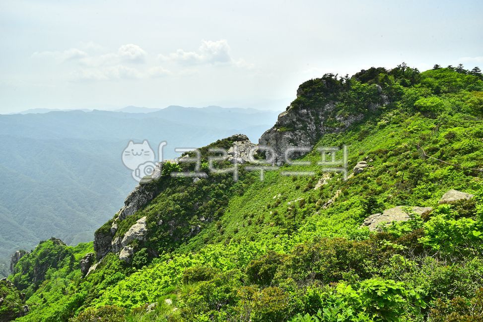 설악산,한국자연경관,산,국립공원,능선,마운틴,자연,산등성이,봉우리,높은산,산맥,mountain,tree,nature,environment,환경,배경,바탕,백그라운드,야외,옥외,아웃도어,힐링,고산준봉,신록,녹음,계절,시즌,첩첩산중,서북능선,외설악,바위산,암릉