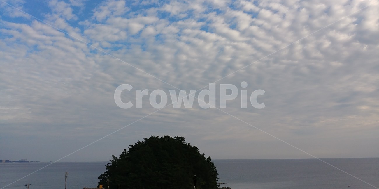 sky,nature,summer,cloud,Beach,seascape,beach,sight,flock of clouds