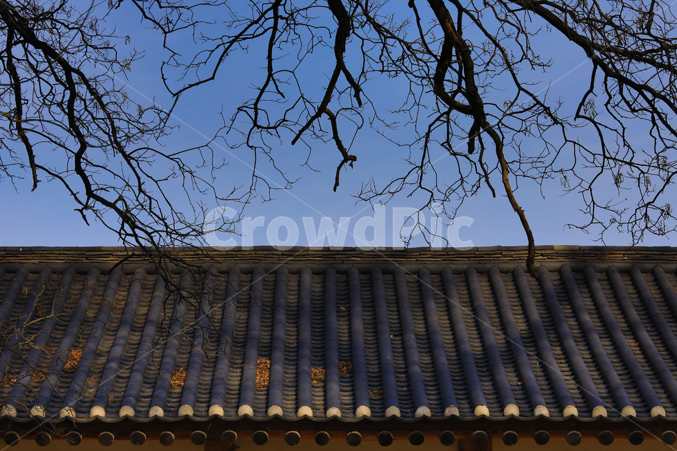 건축,한옥,하늘,문화재,전통,봄,한국전통,한국문화,korean traditional,korean culture,건축물,건물외관,exterior,building,structure,architecture,construction