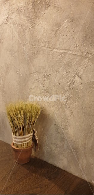 인테리어,wheat,barely,리본,ribbon,벽,wall,fall,가을,감성,실내용화초,화분,화초,house plant