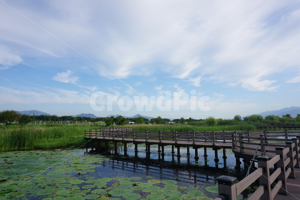 water,dock,워터프론트,waterfront,물