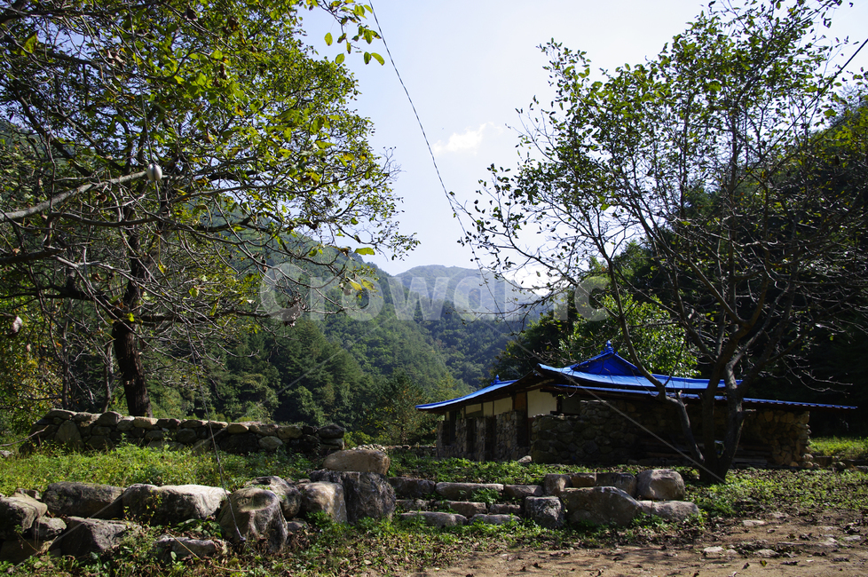 시골,나무,산,풍경,집,시골,마을,풍경,landscape,country,rural,town