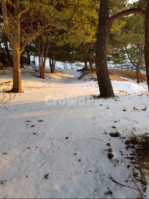 겨울,눈,하늘,길,흔적