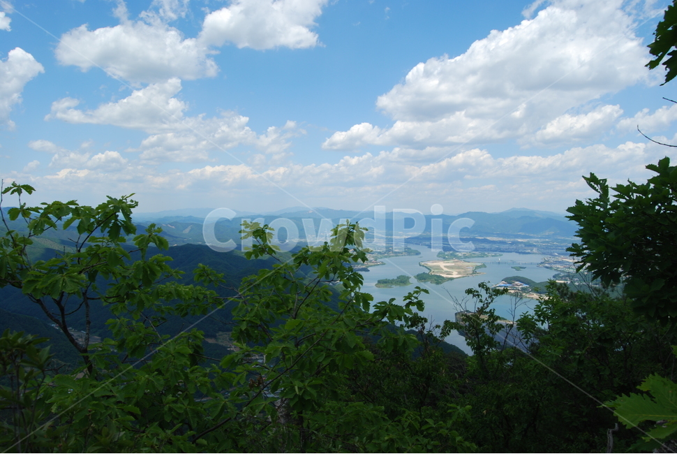 sky,구름,trail,tree,nature,자연,풍경,nature,landscape,weather,날씨,outdoors,옥외,cloud,cumulus,적운,하늘,vegetation,초목,plant,식물