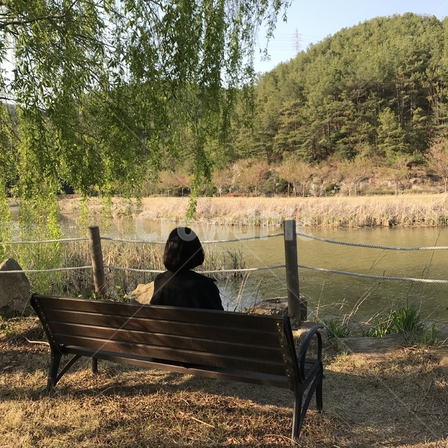뒷모습,호수,단발,벤치,앉아있는사람,단발머리,공원