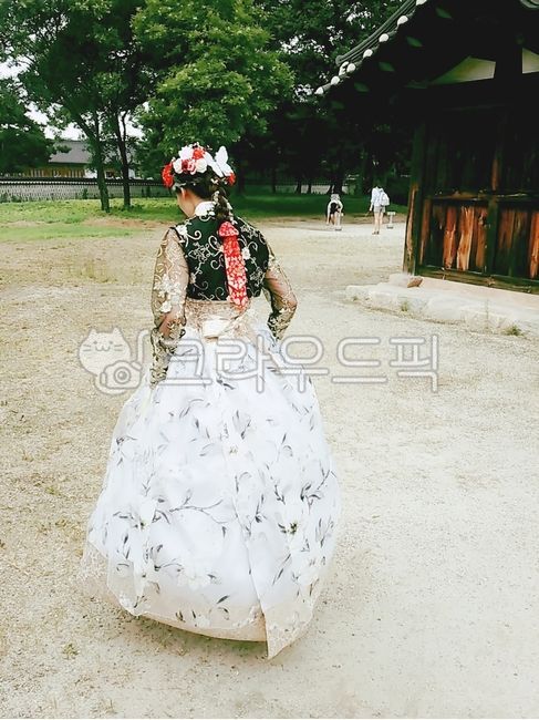 댕기,머리장식,시스루한복,뒷모습,댕기머리,블랙화이트,의복,사람,의류,human,인간,person