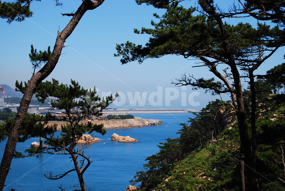 자연,바다,풍경,여름,대왕암,자연,풍경,nature,landscape,한국자연풍경,한국자연경관,korea nature landscape,식물,plants,나무,trees,wood,land,땅,outdoors,옥외,water,물,shoreline,해안선,ocean,대양,sea,tree,plant