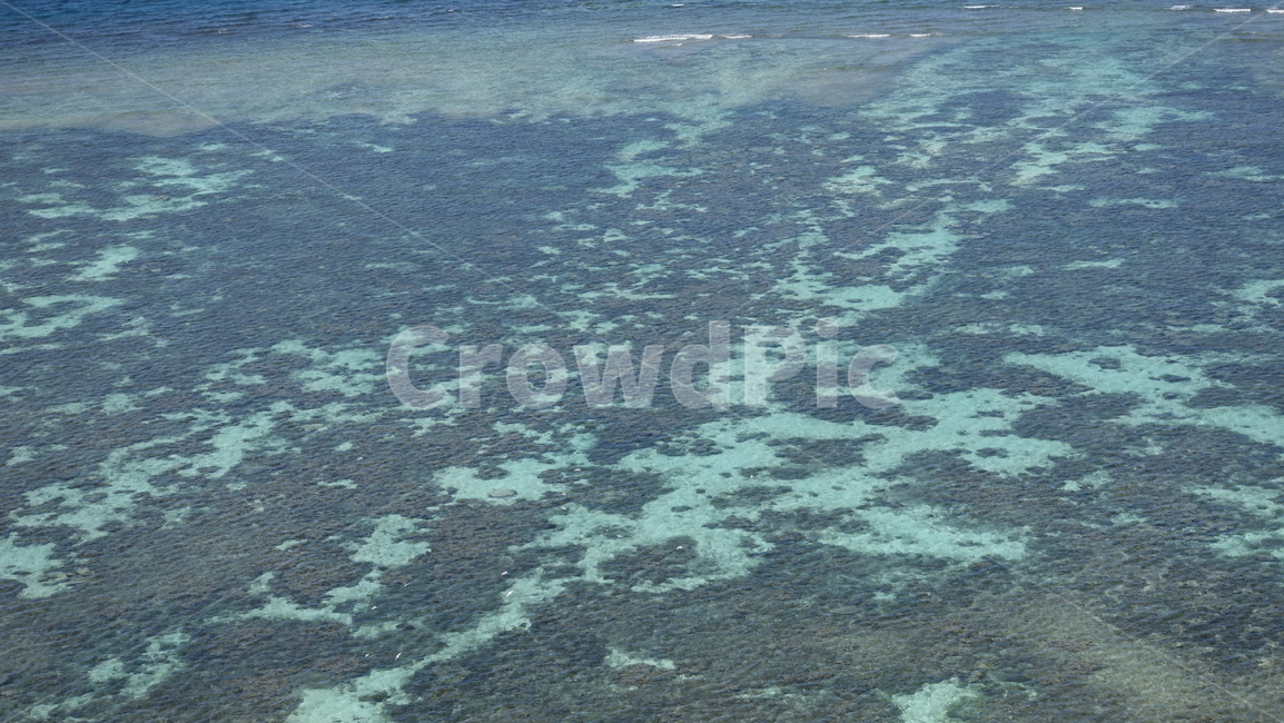 blue,sea,ocean,파란색,바다,전망,자연,nature,aquablue,해초,암초,물,water,summer,여름,휴가,vacation,휴양지,태평양,남태평양,아메데,뉴칼레도니아