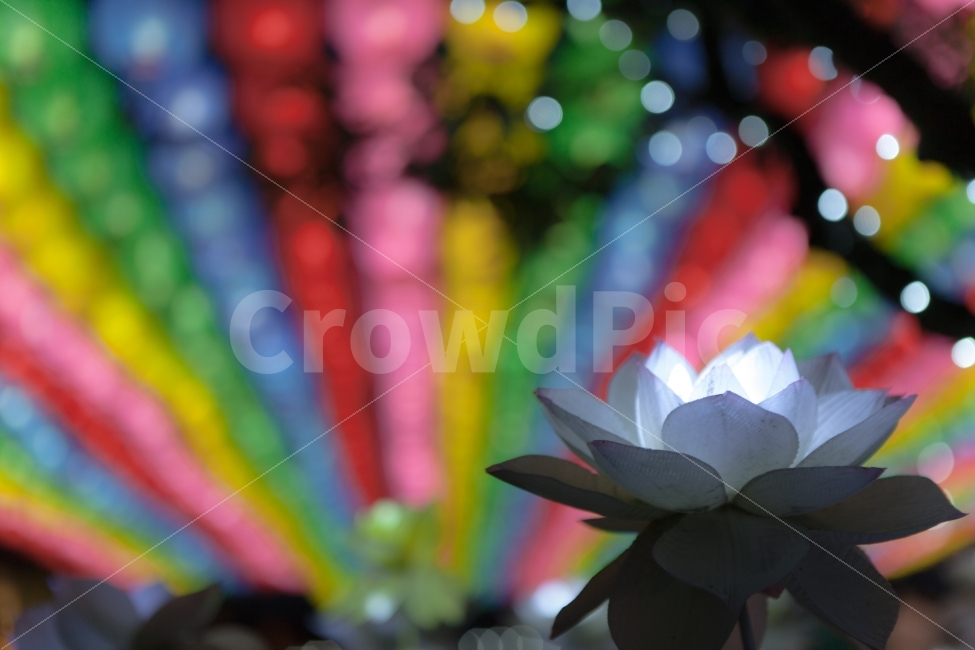 제주,제주관광지,선운정사,야경,애월,야경,밤,풍경,nightscape,night,landscape,종교,신앙,religion,belief,faith