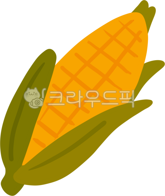 옥수수,제철채소,노란식재료,농작물,가을수확,corn,harvestfood,여름채소