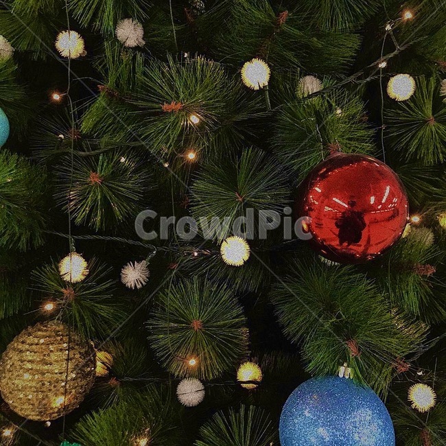 크리스마스트리,christmastree,식물,tree,나무,plant,장식,메리크리스마스,성탄절,merry christmas