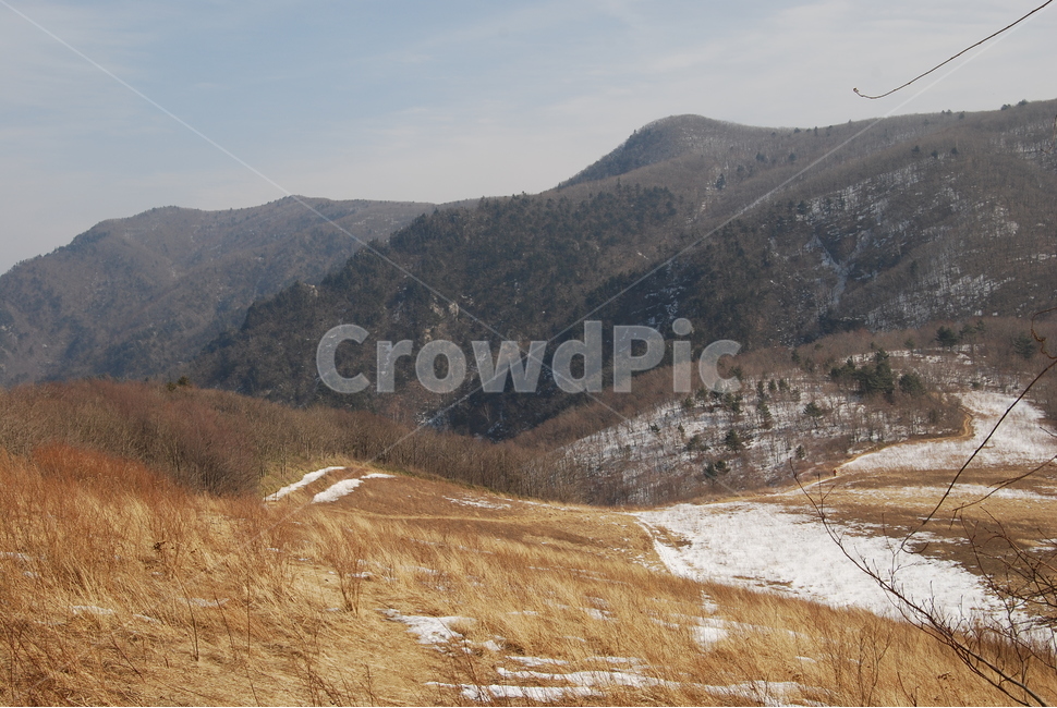 노인봉,오대산,100대명산,소금강,강원,산행,힐링,자연,감성,등산,계절,여행,한국,한국명산,한국등산,풍경,눈,나무,하늘,바람,바람소리,환경,생태계,산,땅,겨울,계절,winter,season,자연,풍경,nature,landscape,한국자연풍경,한국자연경관,korea nature landscape,outdoors,옥외,mountain range,산맥,mountain,slope,경사