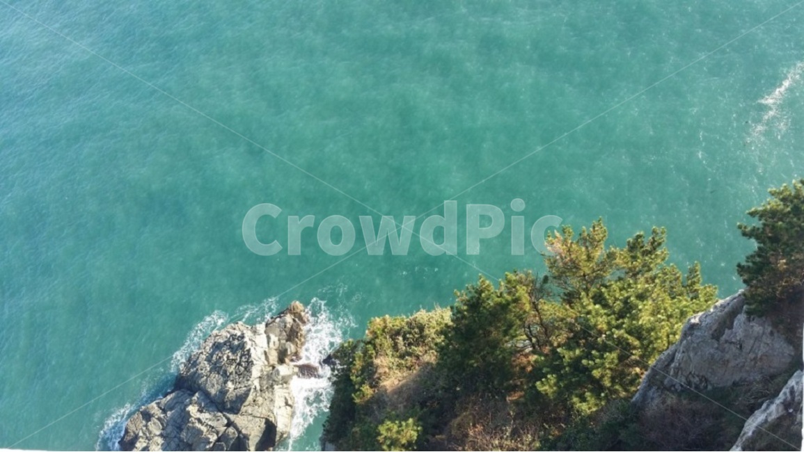 바다,절벽,소나무,파도,자연,자연,풍경,nature,landscape,outdoors,옥외,land,땅,sea,ocean,대양,water,물,shoreline,해안선