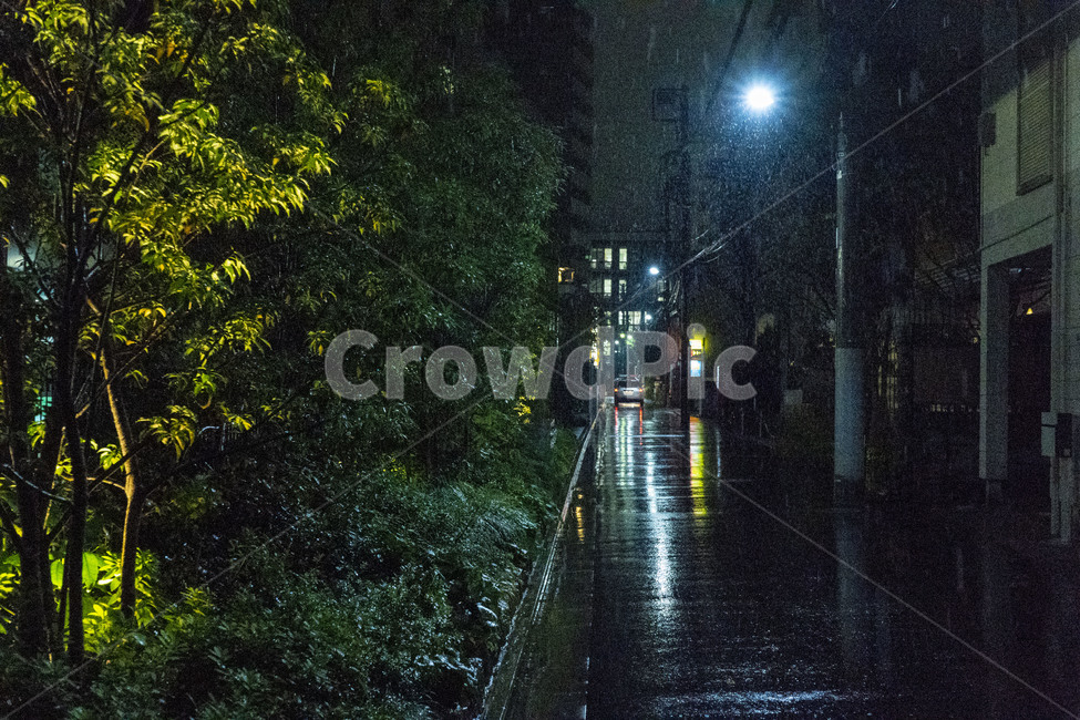 일본,비,느낌,도로,숲,감성,사진,골목길,alley,비,비오는날,rain,rainy