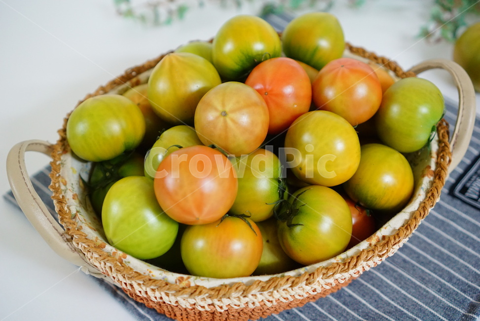토마토,과일토마토,토마토과일,과일,여름과일,음식,식재료,요리,food,cook,meal,dishes,food reserves,채소,야채,vegetables
