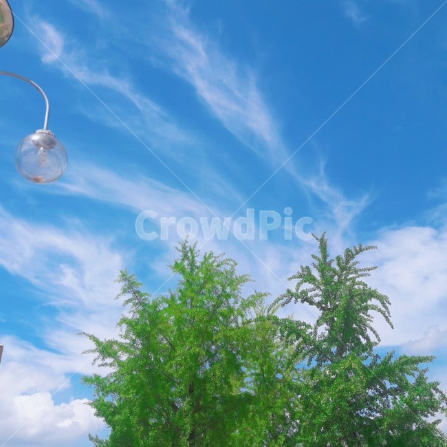 하늘,색감,sky,blue,구름,자연,summer,감성,nature,여름,식물,cloud,season,한적함