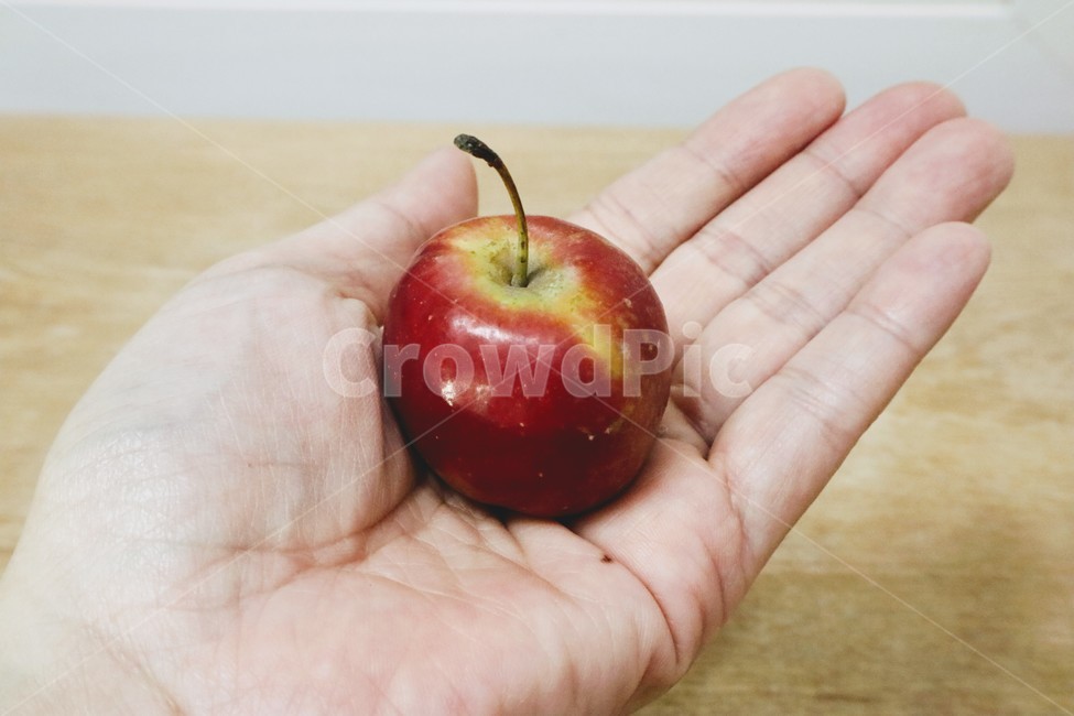 미니사과,사과,손,새끼사과,애플,과일,과일,열매,fruit