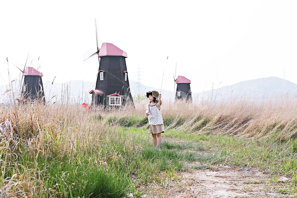 아이,어린이,사람,갈대,풍경,자연,배경,여자아이