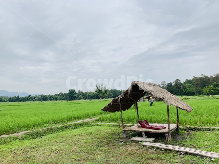태국,thailand,치앙마이,올드시티,oldcity,동남아,아시아,해외,외국,세계,oversea,foreign,world,풍경,landscape,touristattraction,outdoors,옥외,nature,자연,shack,countryside,cabin,감성사진,한지방,오두막,식물,plant