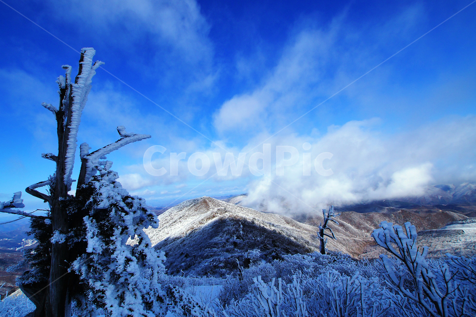 함백산,설경,풍경,상고대,정선,고한,푸른하늘,겨울,계절,winter,season,자연,풍경,nature,landscape,한국자연풍경,한국자연경관,korea nature landscape,outdoors,옥외,ice,빙,snow,눈