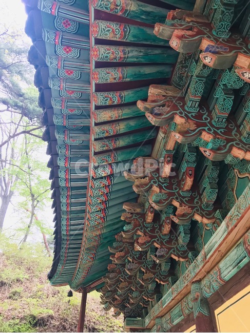 temple,koreantemple,절,사원,연등