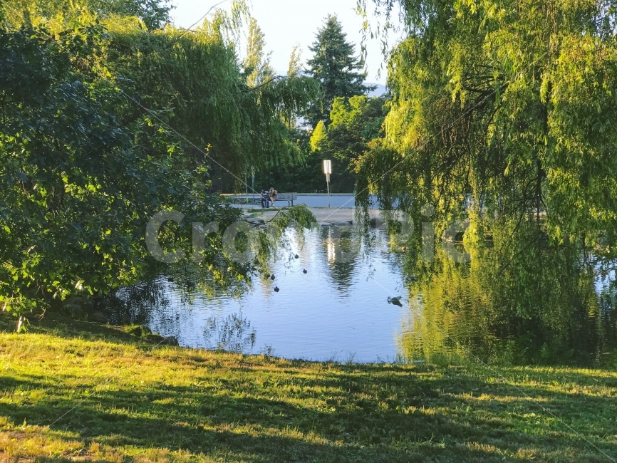 캐나다,엘리자베스공원,날씨맑음,호수,연못,자연,풍경,nature,landscape,휴식,힐링,rest,relaxation,healing,사람,인물,인간,human,person,연인,커플,사랑,lover,couple,감성,sensible,feeling,tree,나무,plant,식물,outdoors,옥외