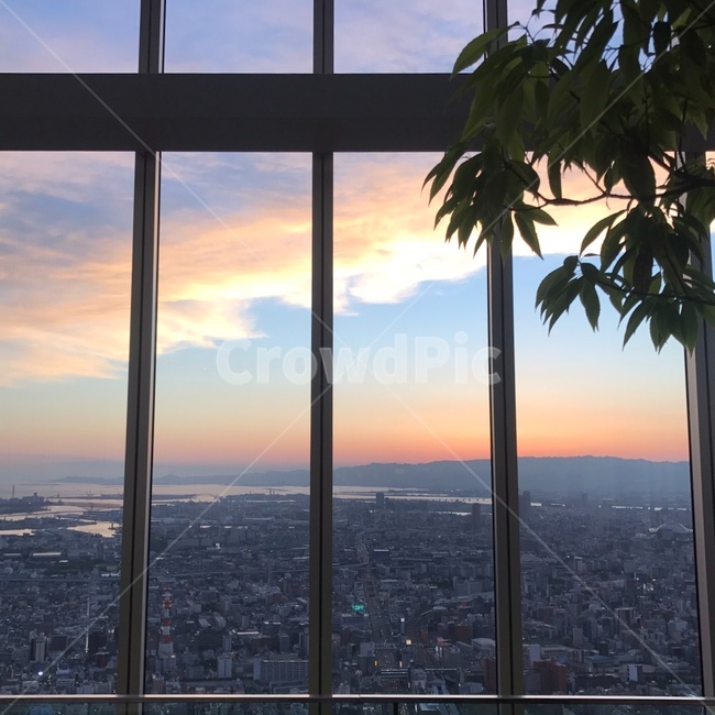 일몰,하늘,풍경,건물,전망,일본,감성,도시,풍경,city,landscape,해외,외국,세계,foreign,oversea,world,세계도시풍경,해외도시풍경,외국도시풍경,world cityscape