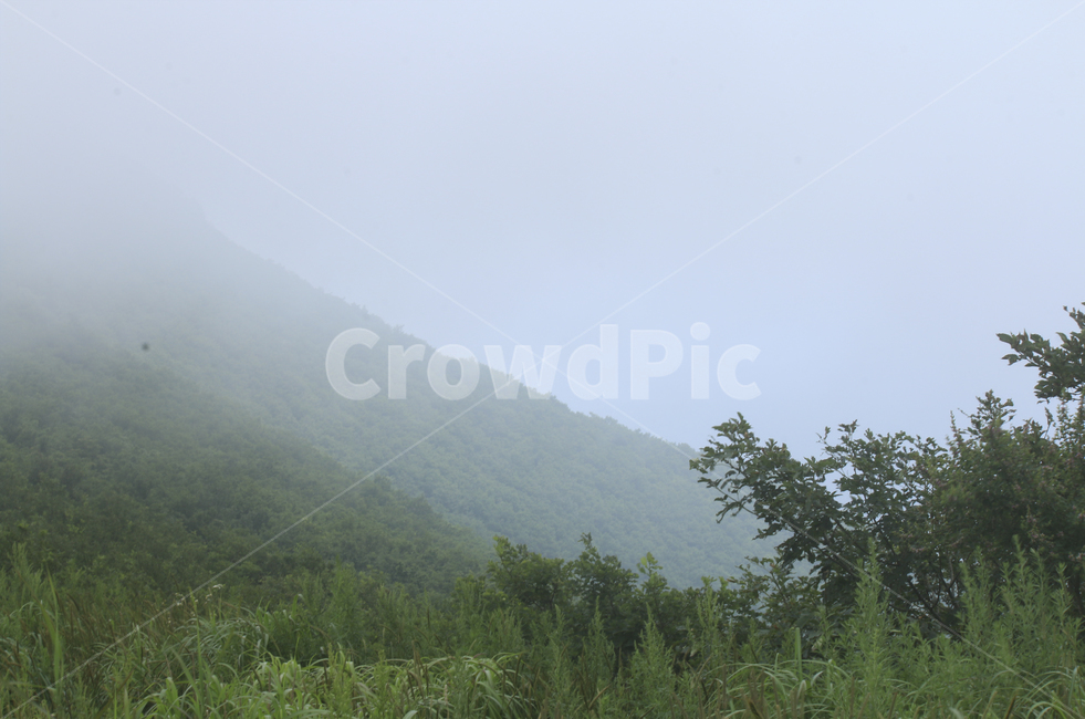 nature,자연,안개,mist,fog,weather,날씨,산