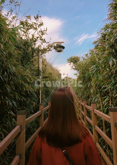 대나무,뒷모습,여자,bamboo,대나무숲,긴머리,밤색코트,풍경,그림같은,하늘,파란,평화로운,여자뒷모습,감성사진,여행지,관광명소,경치,식물,자연,명소,야외,나무,죽녹원,평온,감성,인물,여인,소녀,풍경사진,nature,사람,인물,인간,human,person,여성,여자,woman,female,lady