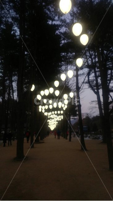 겨울,저녁,나무,조명,풍경