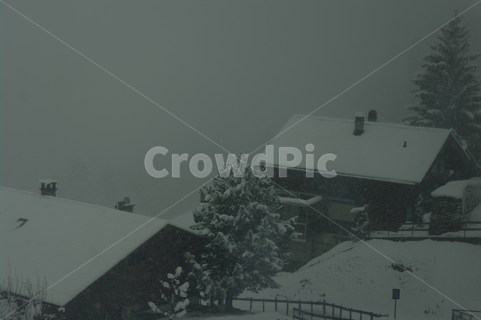 겨울,지붕,눈쌓인지붕,고즈녁,흰눈,눈,겨울,계절,winter,season