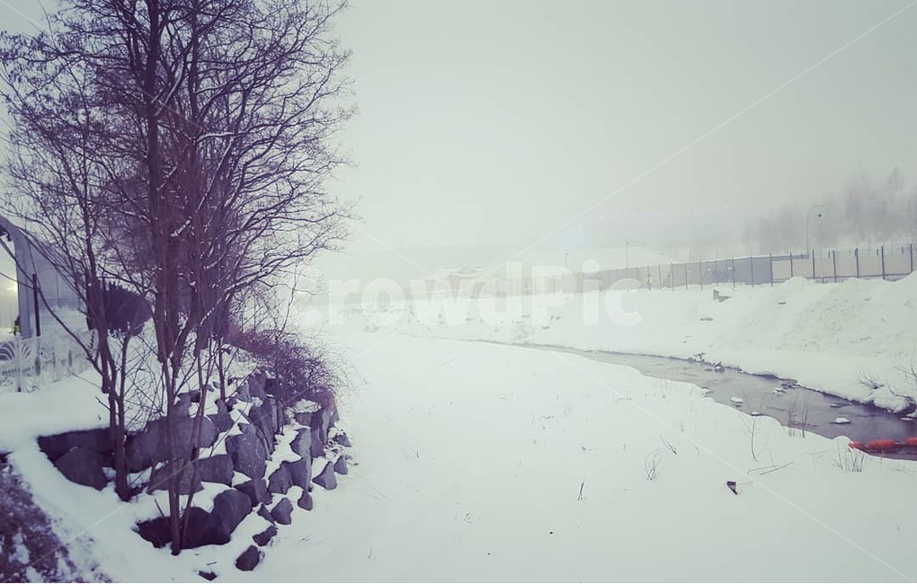 나무,눈,감성,흰색,tree,snow,겨울,winter,겨울,계절,winter,season,자연,풍경,nature,landscape,흑백,모노톤,monochrome,black and white,storm,폭풍,outdoors,옥외,blizzard,눈보라