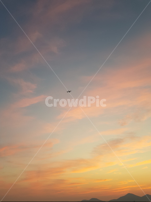 flying,outdoors,비행,free,노을