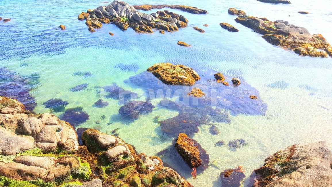 바다,동해,투명,하늘,시원,자연,풍경,nature,landscape,rock,록
